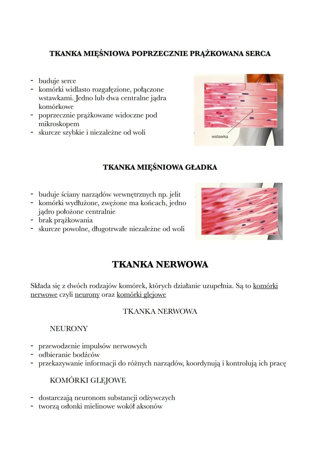 1.2 TKANKI: NABŁONKOWA, MIĘŚNIOWA I NERWOWA
TKANKI:
-
nabłonkowa
mięśniowa
nerwowa
łączna
TKANKA NABŁONKOWA
Ta tkanka ma zwarty układ komóre