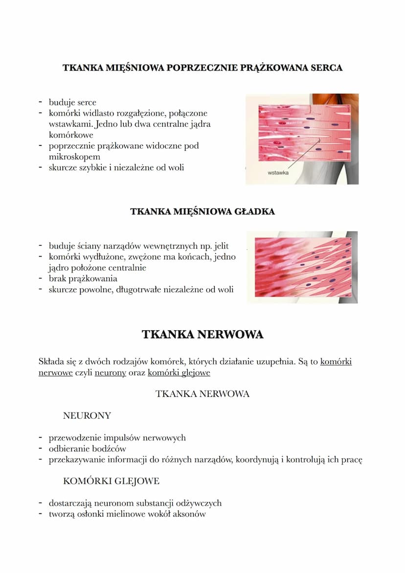 1.2 TKANKI: NABŁONKOWA, MIĘŚNIOWA I NERWOWA
TKANKI:
-
nabłonkowa
mięśniowa
nerwowa
łączna
TKANKA NABŁONKOWA
Ta tkanka ma zwarty układ komóre