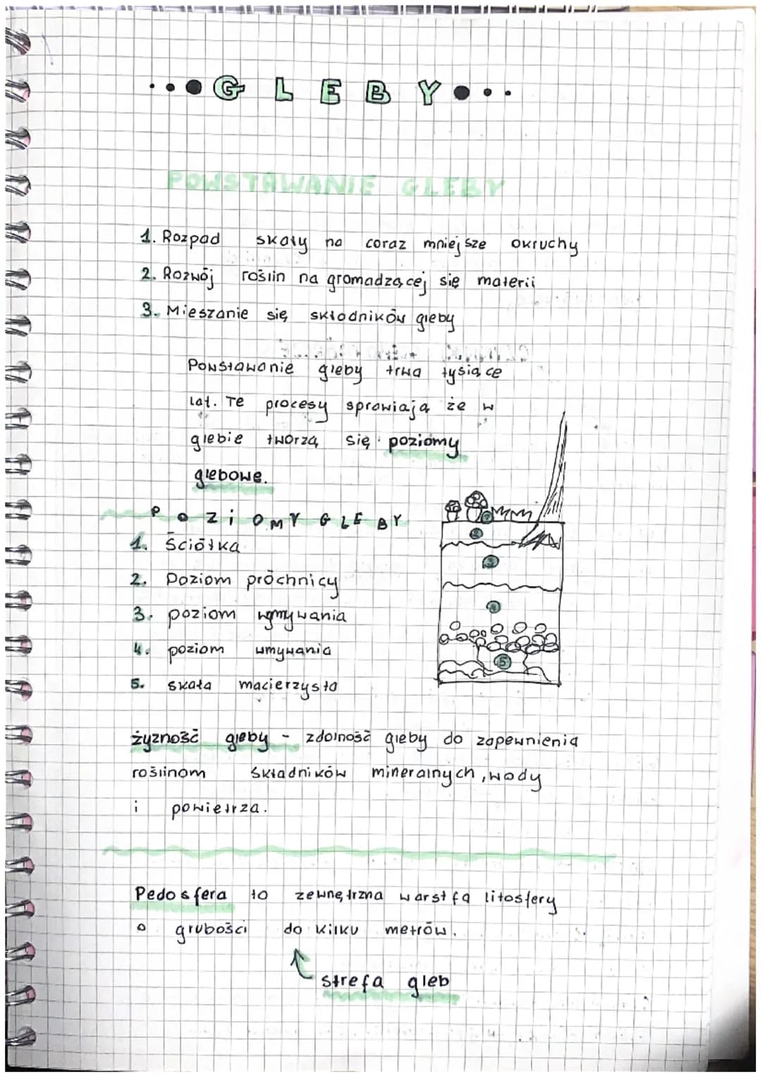 T
O
(b)
1. Rozpad
2. Rozwoj
3. Mieszanie się skłodnikow gleby
P
Q
skaly no
rosiin na gromadza cej się materii
PONStawanie
Lat. Te
LEBY..
żyz