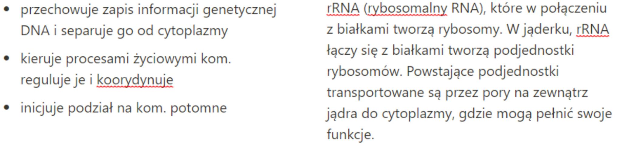 # Komórka

budowa i rola jądra komórkowego

Jest to organellum o podwójnej
błonie białkowo- lipidowej, które
mieści materiał genetyczny komó