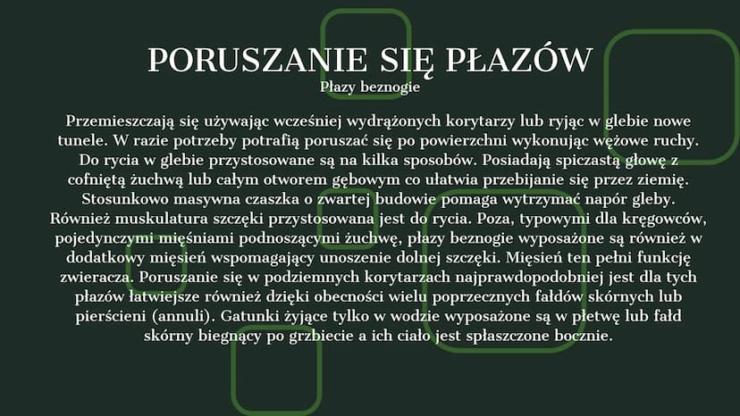 AMPHIBIA
GROMADA ZMIENNOCIEPLNYCH KRĘGOWCÓW Z GRUPY CZWORONOGÓW POCHODZENIE PŁAZÓW
Pierwsze płazy pojawiły się w dewonie,
ewoluując z ryb mi