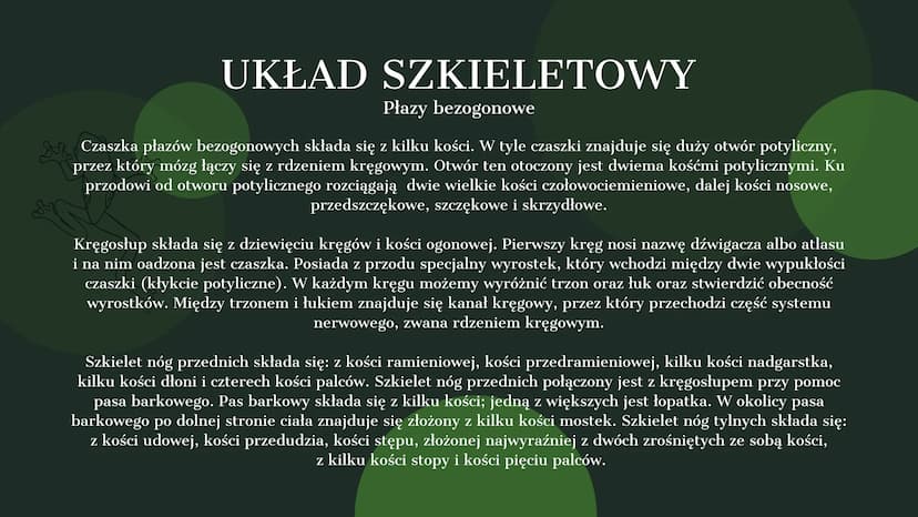 AMPHIBIA
GROMADA ZMIENNOCIEPLNYCH KRĘGOWCÓW Z GRUPY CZWORONOGÓW POCHODZENIE PŁAZÓW
Pierwsze płazy pojawiły się w dewonie,
ewoluując z ryb mi