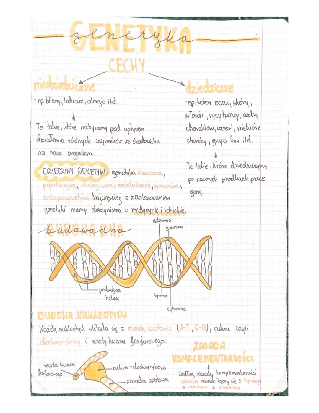 # zenetyka

## CECHY

nieckziedzicane

*   np. blizny, tatuaże, alergie itel.

To talkie, które nabywamy pod wpływem
działania różnych czynn