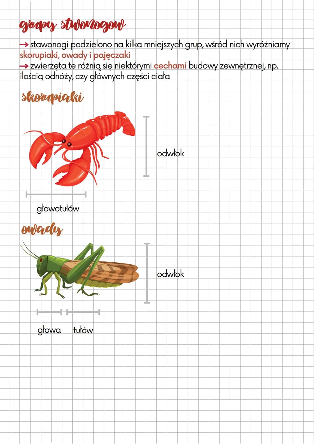 biologia
migsce zycia
→ Stawonogi występują w prawie wszystkich środowiskach. Najliczniej
występują na lądzie. Spotykamy je również w morzac