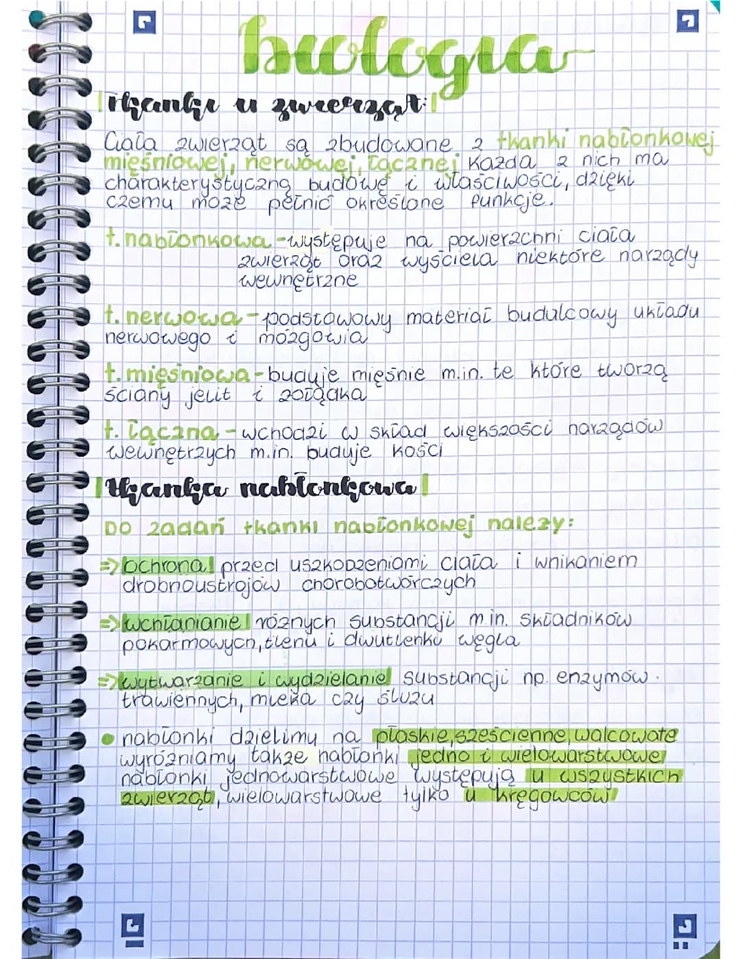 Tkanki nabłonkowa, mięśniowa, nerwowa, łączna.