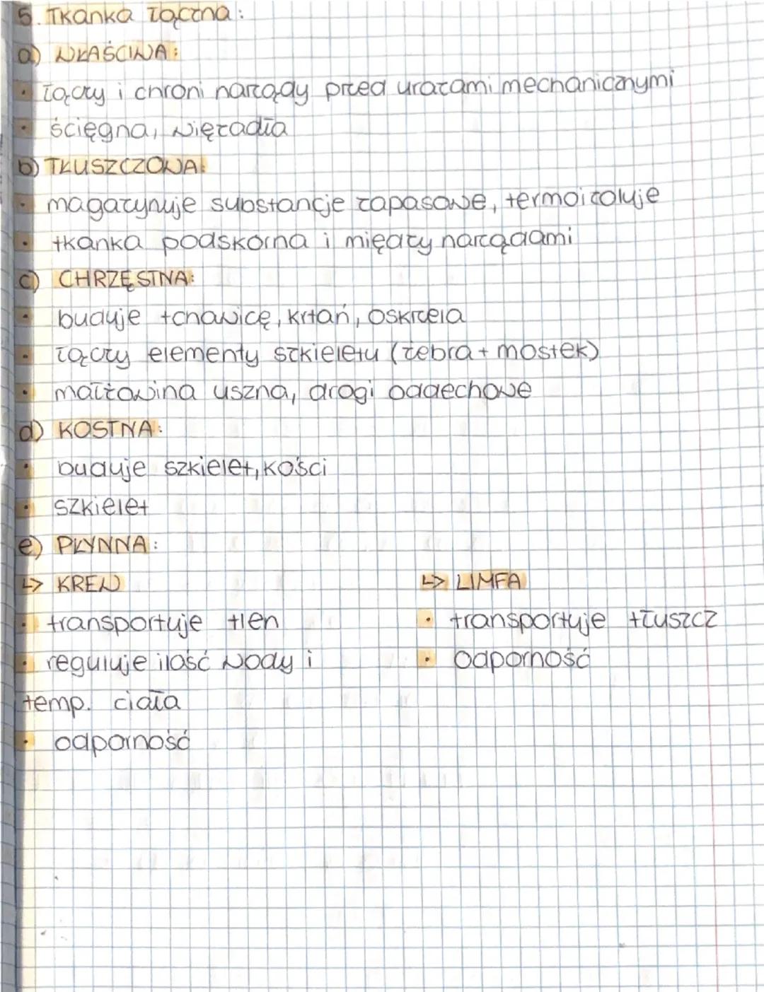 TKANKI
1. Tkanka - zespół komórek o podobnej budowie i wspólnym pochodzeniu, pełniącym określone funkcje
2. Tkanka nabłonkowa:
zwarty układ 