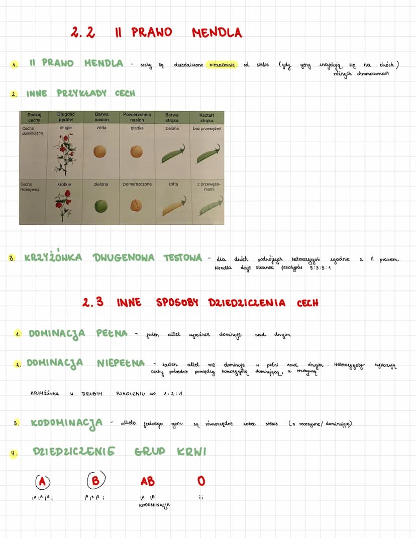 A. GENOTYP-espół wszystkich
2. FENOTYP - cechy, które
3. GEN=
4.
5.
|| występuje w
ALLEL
Į
DOMINUJĄCE
caostecaka
ciemne oczy
grupa krwi
pieg