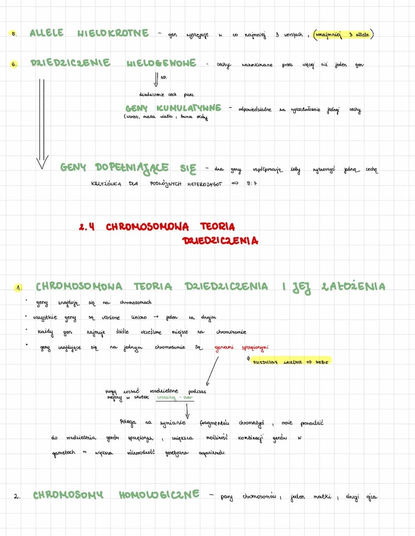 A. GENOTYP-espół wszystkich
2. FENOTYP - cechy, które
3. GEN=
4.
5.
|| występuje w
ALLEL
Į
DOMINUJĄCE
caostecaka
ciemne oczy
grupa krwi
pieg