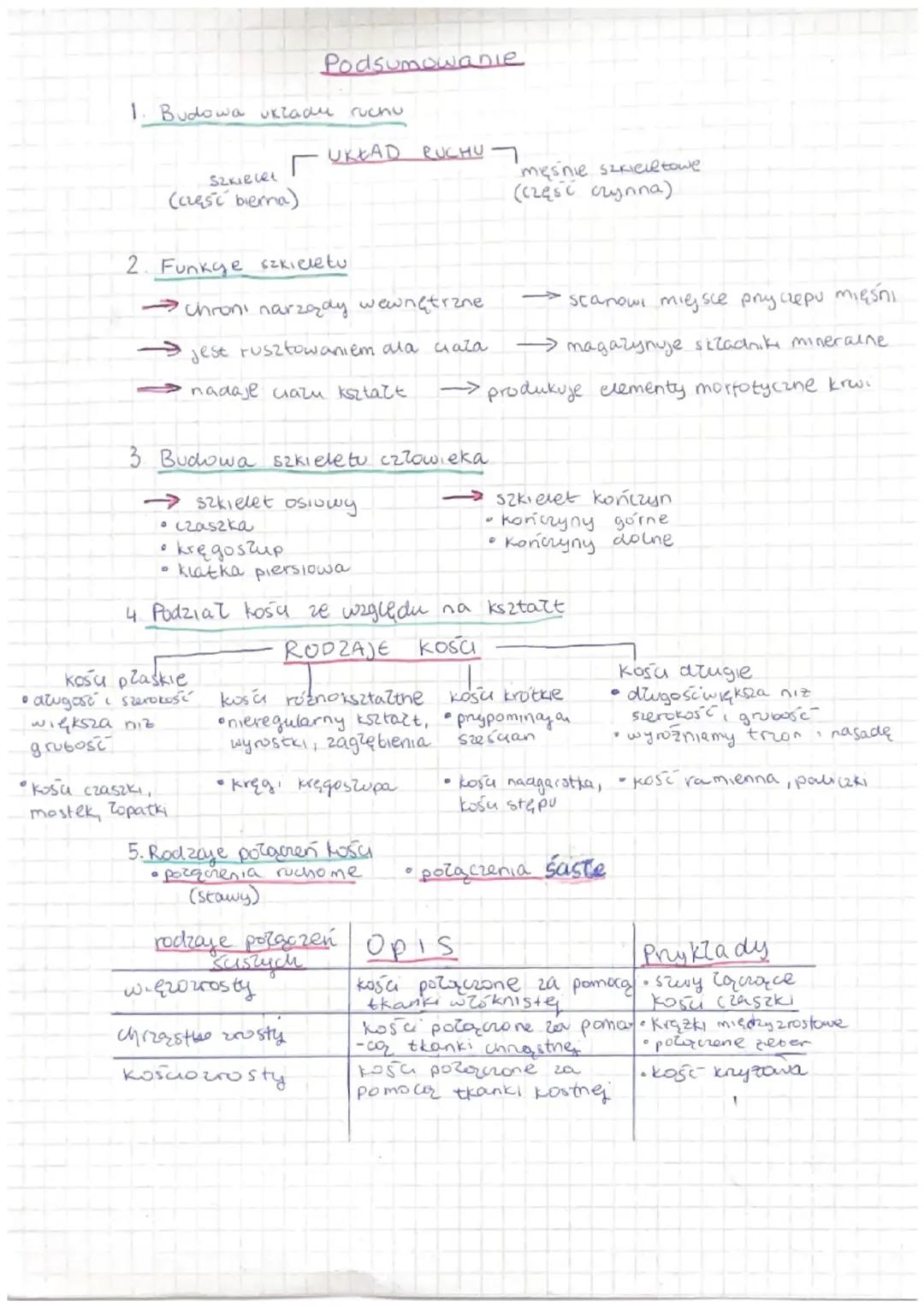 Podsumowanie Działu: Układ Ruchu Człowieka