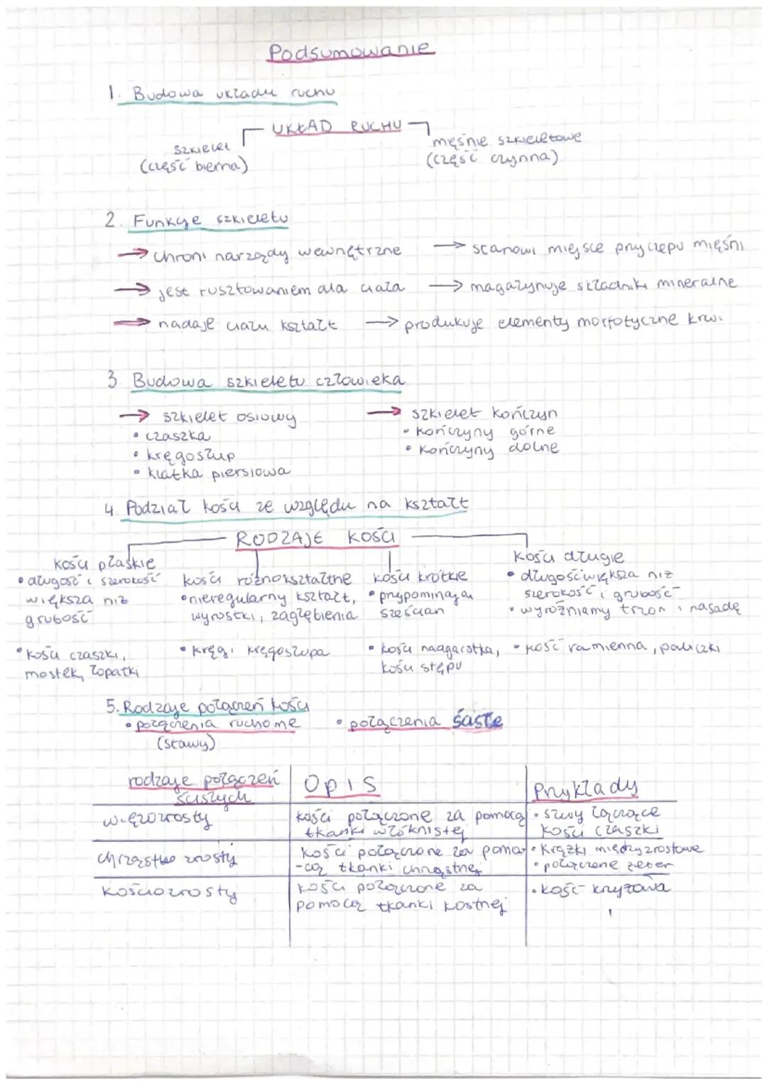 1. Budowa uklady ruchu
Szkielet
(część bierna)
2. Funkge szkieleto
→chroni narządy wewnętrzne
jest rusztowaniem ala caza
nadaje ciazu kształ