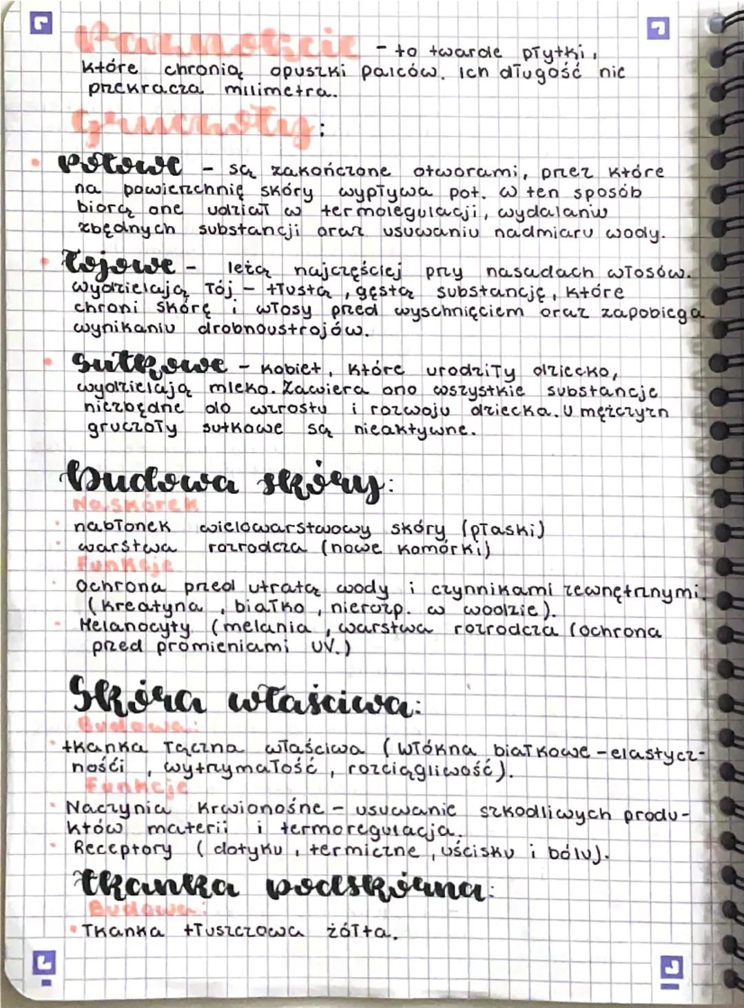 # Skóra i funkcje skóry

- Skóra otacza organizm od środowiska zewnętrznego i jednocześnie umożliwia mu kontakt z otoczeniem. Stanowi też wa