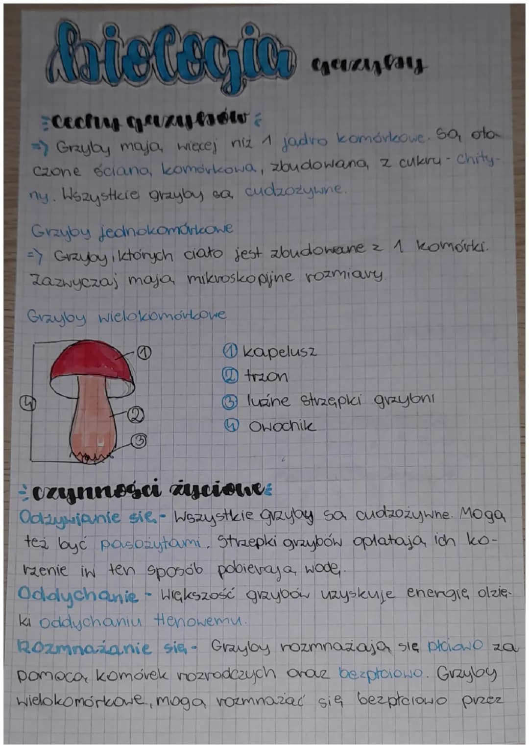 datologia
cectly grzyków?
=) Grzyby maja, więcej niż 1 jadro komórkowe. So, oto-
czone ściano, komórkowa, zbudowana, z cukry - Chity-
ny. Ws