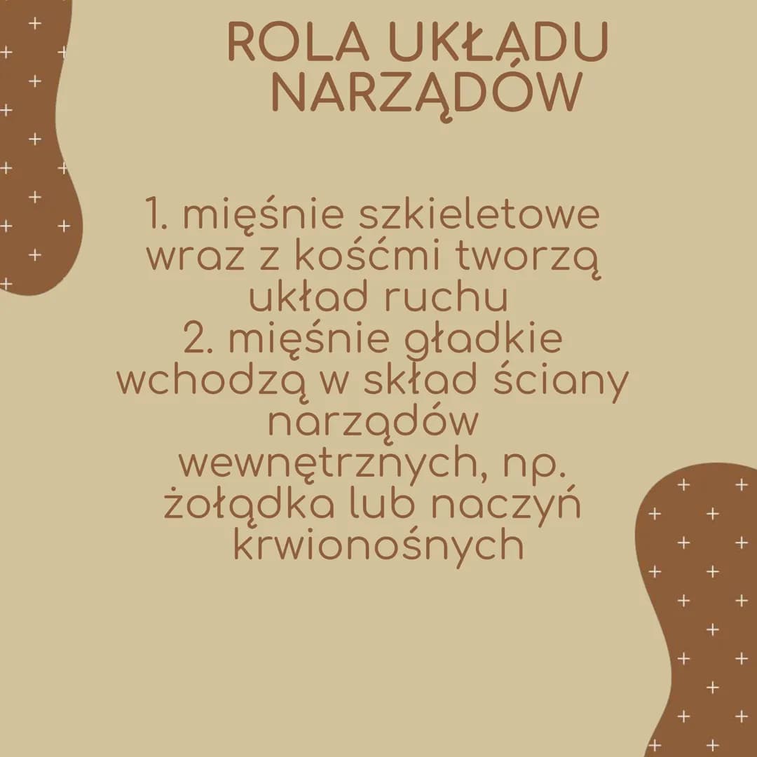 +
+
+
+
+
+
ell
Układ mięśniowy
BIOLOGIA
n
+
4
+
+
+
+
+
+ +
+
+
+
+
+
ELEMENTY BUDUJĄCE
UKŁAD NARZĄDOW
1. mięśnie
szkieletowe
2. ścięgna
3.