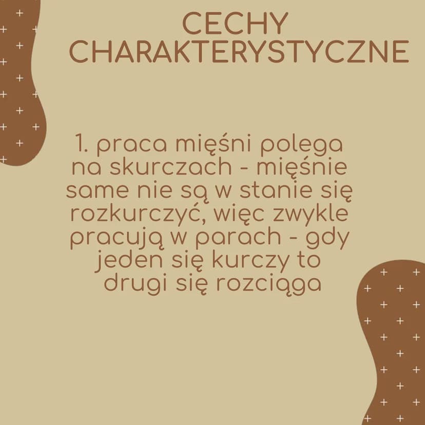 +
+
+
+
+
+
ell
Układ mięśniowy
BIOLOGIA
n
+
4
+
+
+
+
+
+ +
+
+
+
+
+
ELEMENTY BUDUJĄCE
UKŁAD NARZĄDOW
1. mięśnie
szkieletowe
2. ścięgna
3.