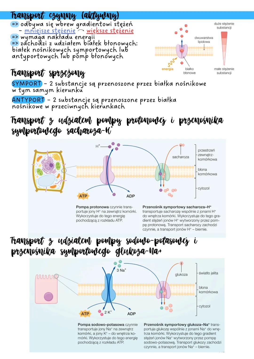 # TRANSPORT
przez błony biologiczne
TRANSPORT BŁONOWY - wymiana substancji z otoczeniem
Transport bierny
=> jest zgodny z gradientem stężeń 