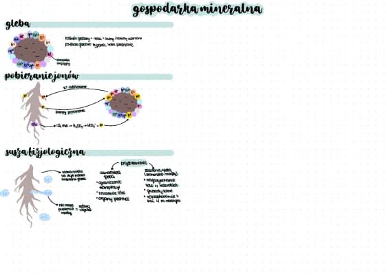 Know gospodarka mineralna roslin  thumbnail