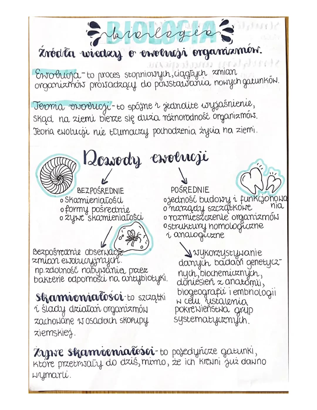 brorlegia
Źródła wiedzy o ewolucji organizmów.
aspolno [0]
Ewolucja to proces stopniowych, ciągłych zmian
organizmów prowadzący do powstawan