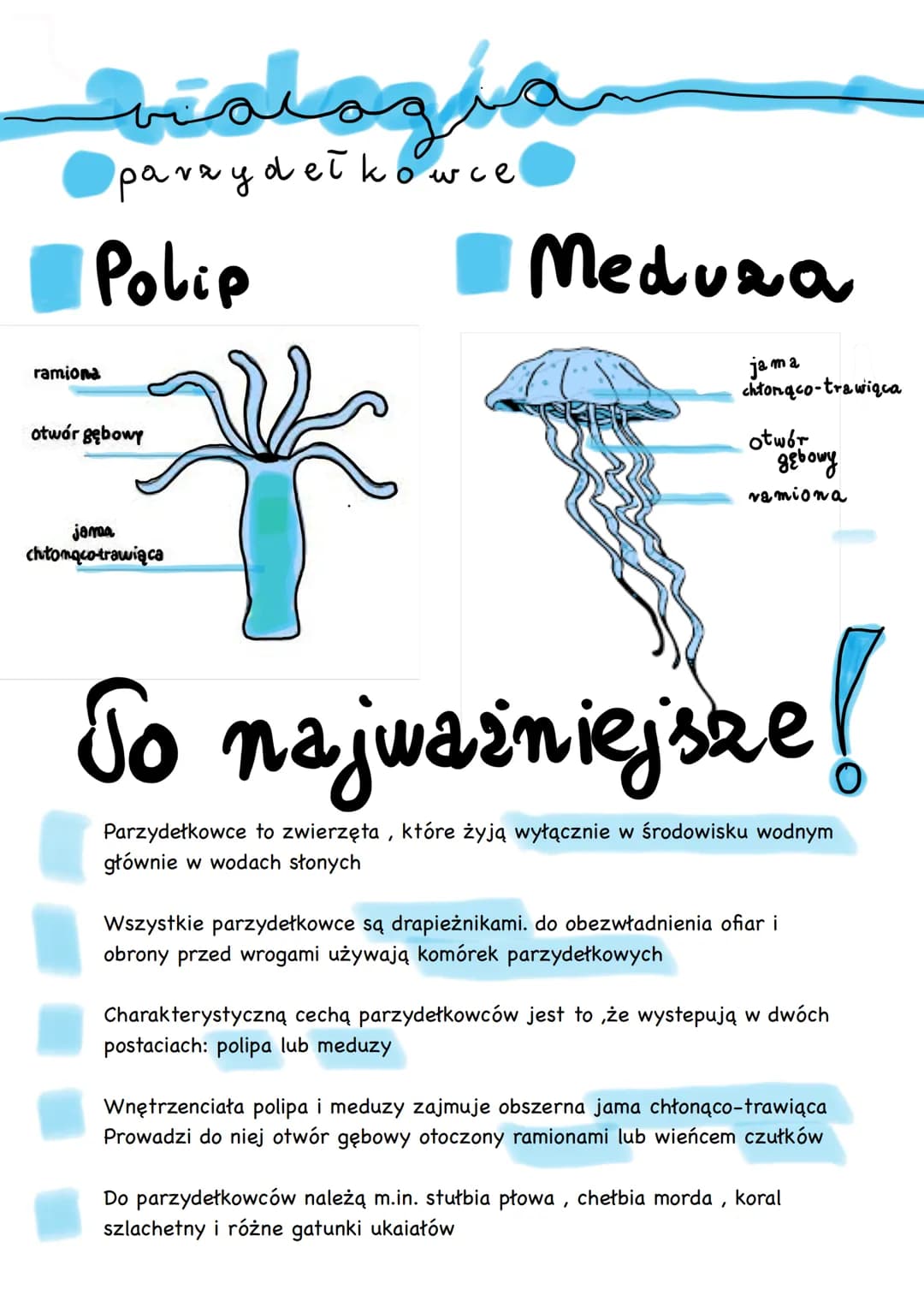ал
paraya.
Polip
ramiona
otwór gębowy
jamaa
chłonąco-trawiąca
dełkowce
Medura
ja ma
chłonąco-trawiąca
otwór
ggbowy
vamiona
To najważniejsze!