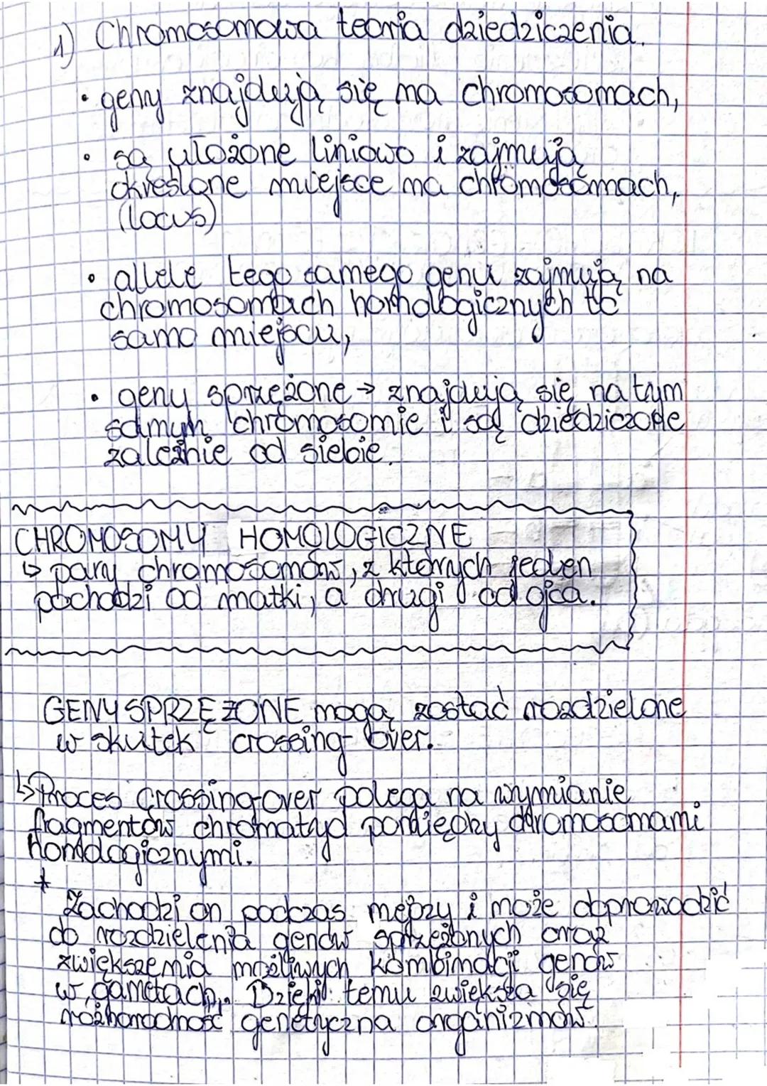 1) Chromosomowa teoria dziedziczenia.

• geny znajdują się ma chromosomach,
sa utożone liniowo i zajmuje
okreslone miejsce ma chromosomach,
