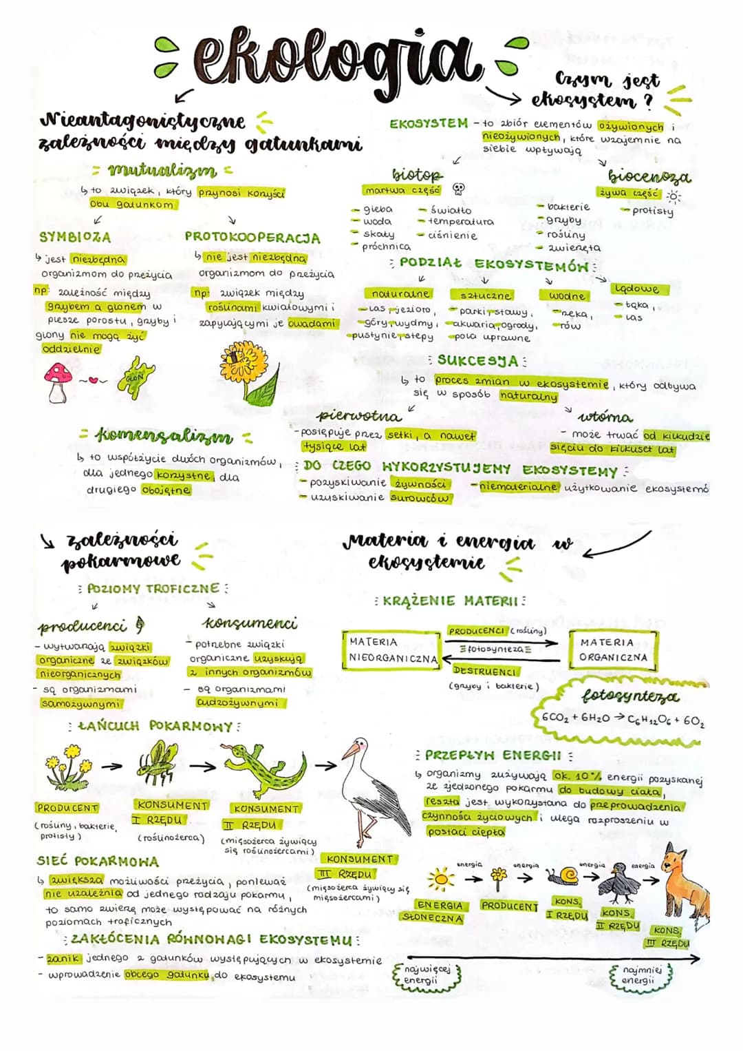 Nieantagonistyczne
zależności między gatunkami
= mutualizm =
↳ to związek, który przynosi konyści
Obu gatunkom
✓
SYMBIOZA
↳ jest niezbędna
o