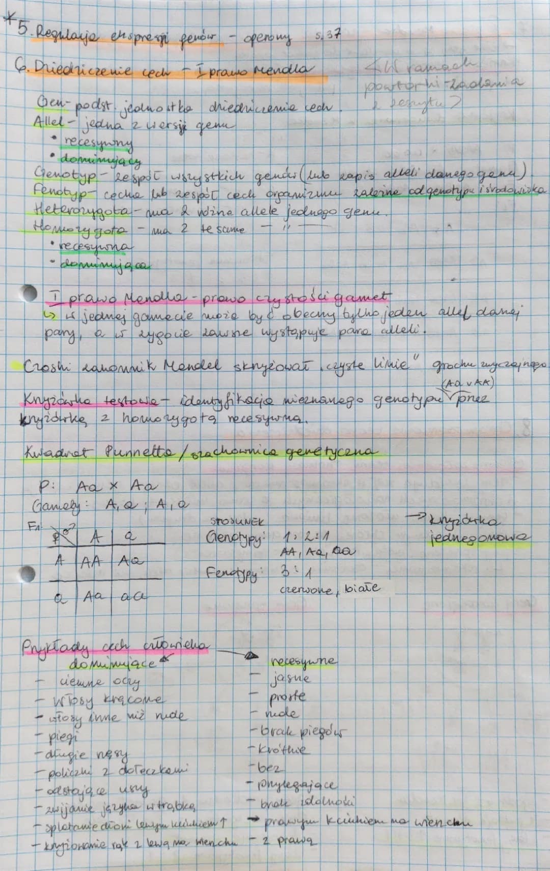 1 i 2 Prawo Mendla - Definicja, Zadania i Przykłady dla Biologia na Czasie