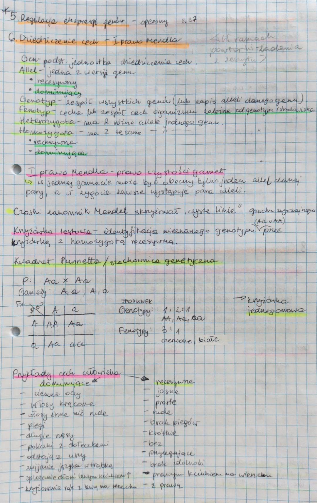 1 i 2 Prawo Mendla - Definicja, Zadania i Przykłady dla Biologia na Czasie