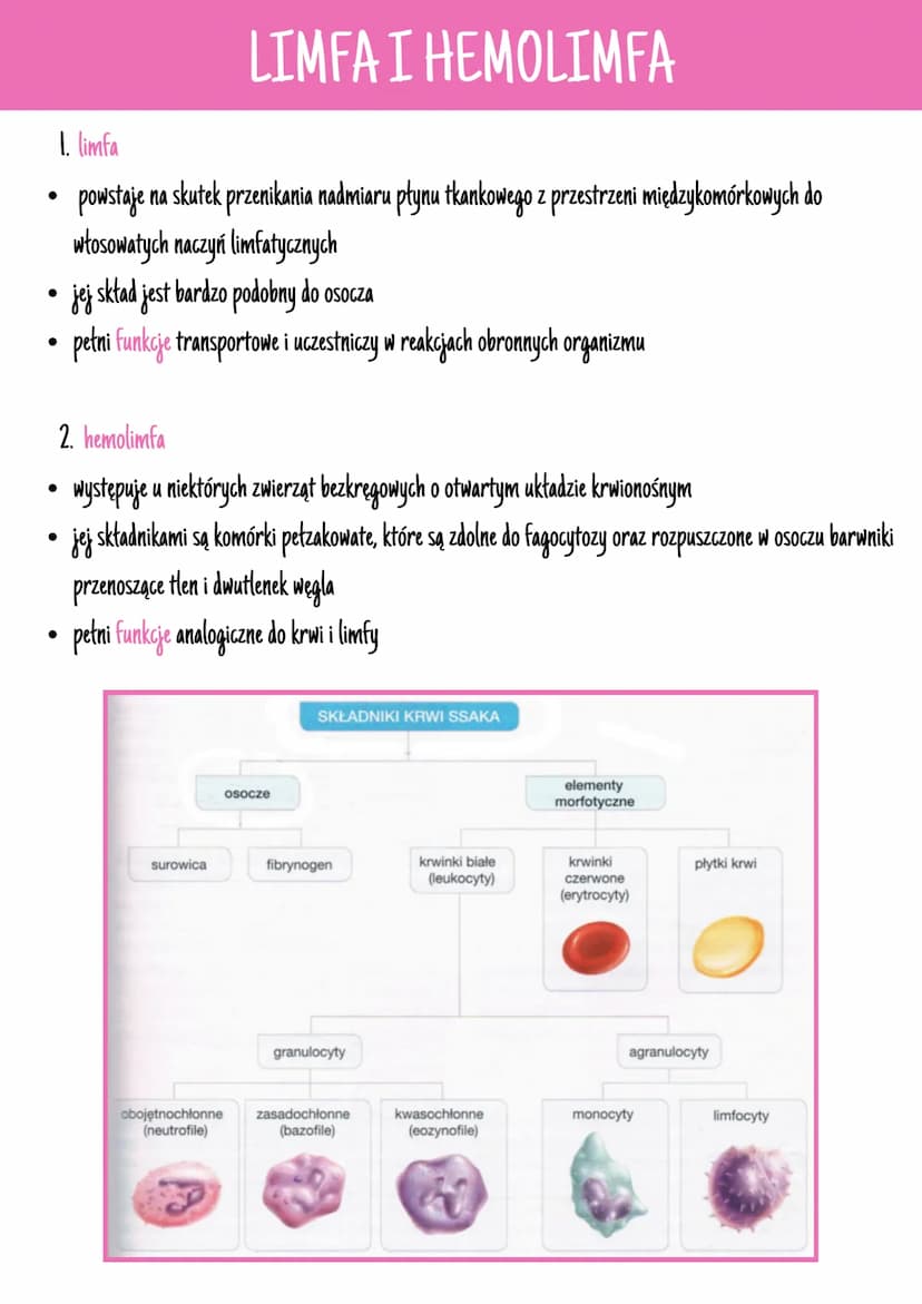 --- OCR Start ---
CECHY TRANKI ŁĄCZNEJ
• Wszystkie rodzaje tkanki łącznej powstają z mezenchymy, czyli tkanki łącznej zarodkowej. Jest ona z