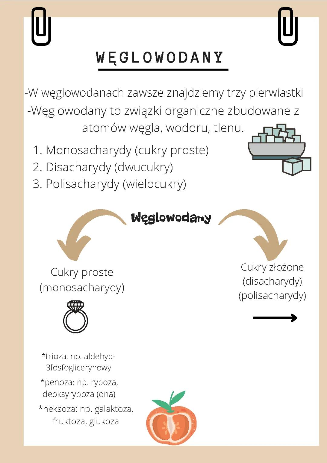 Cukry Proste i Złożone: Monosacharydy, Fruktoza i Glukoza