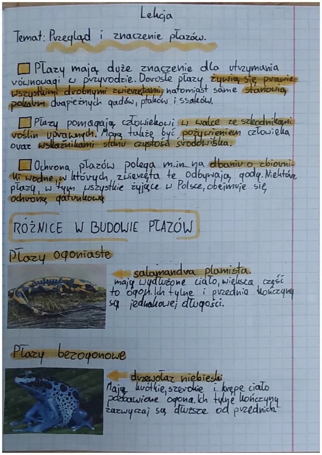 Lekcja
Temat: Przegląd i znaczenie płazów.
Plazy mają duże znaczenie dla utrzymania
vównowagi w przyrodzie. Doroste płazy żywią się prawies
