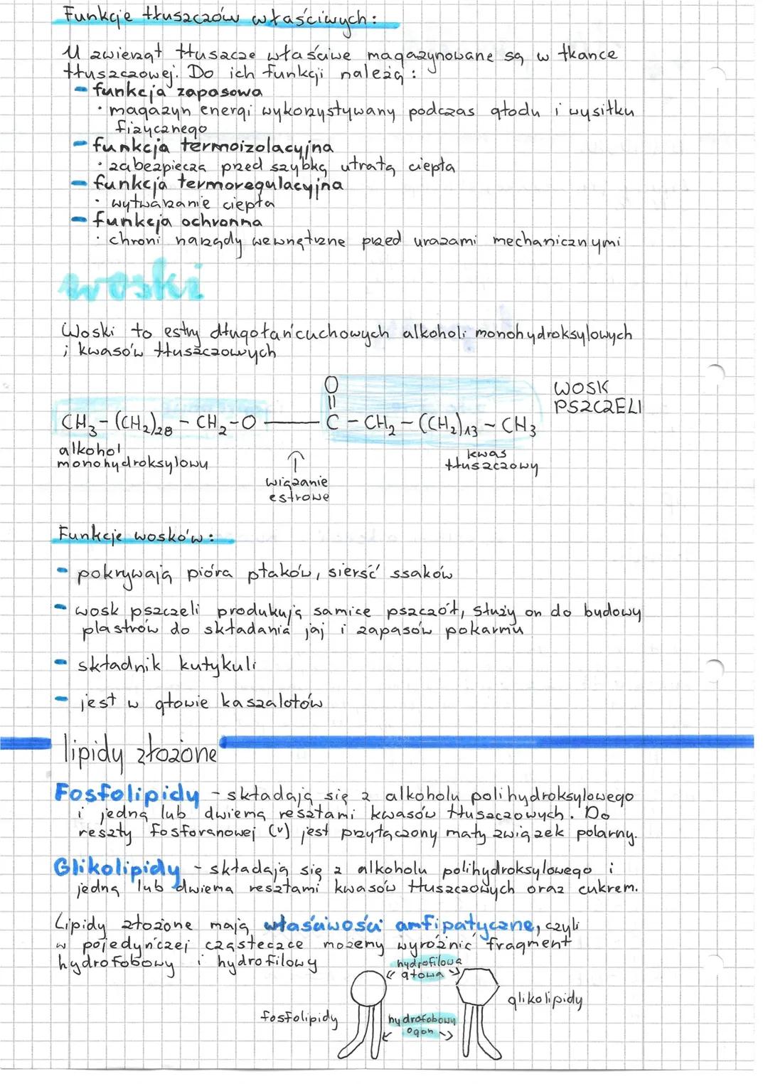 # lipidy

budowa

Lipidy (tłuszczowce) składają się z C, H, O i czasami jeszcze
SPICY
2N
2

Ze względu na budowę są hydrofobowe (nierozpuszc