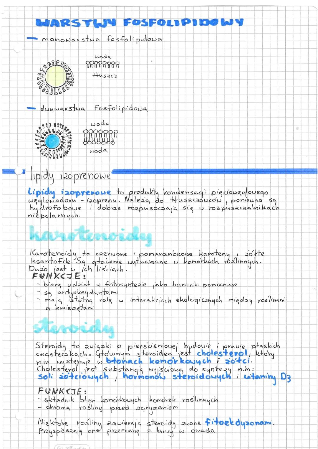 # lipidy

budowa

Lipidy (tłuszczowce) składają się z C, H, O i czasami jeszcze
SPICY
2N
2

Ze względu na budowę są hydrofobowe (nierozpuszc