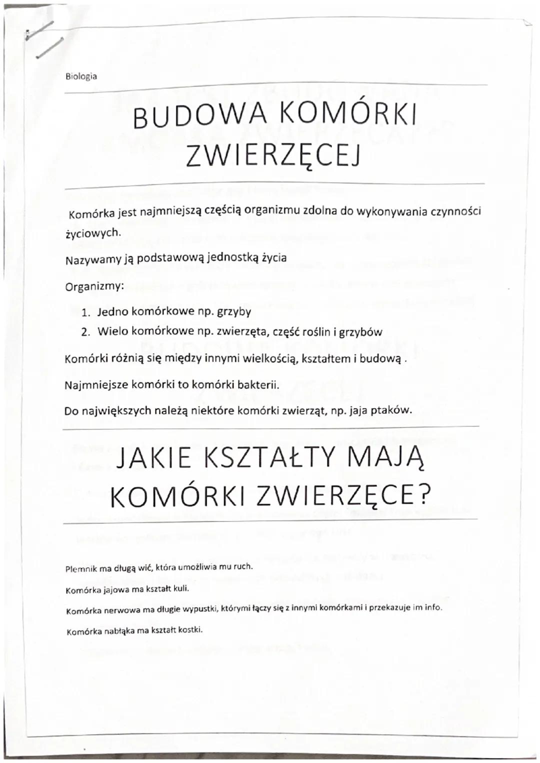 Struktura i funkcje komórki zwierzęcej