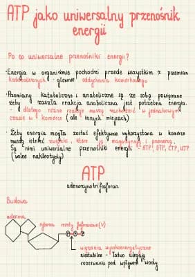 Know ATP jako uniwersalny przenośnik energii thumbnail