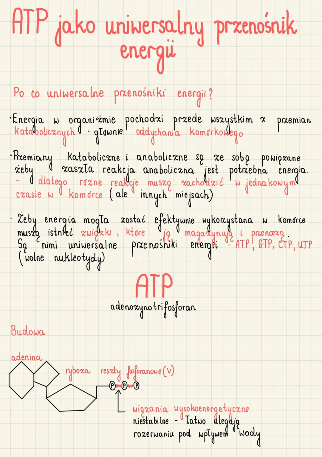 ATP jako uniwersalny przenośnik
energi
Po co uniwersalne przenośniki energii?
• Energia w organizmie pochodzi przede wszystkim x przemian
Ka