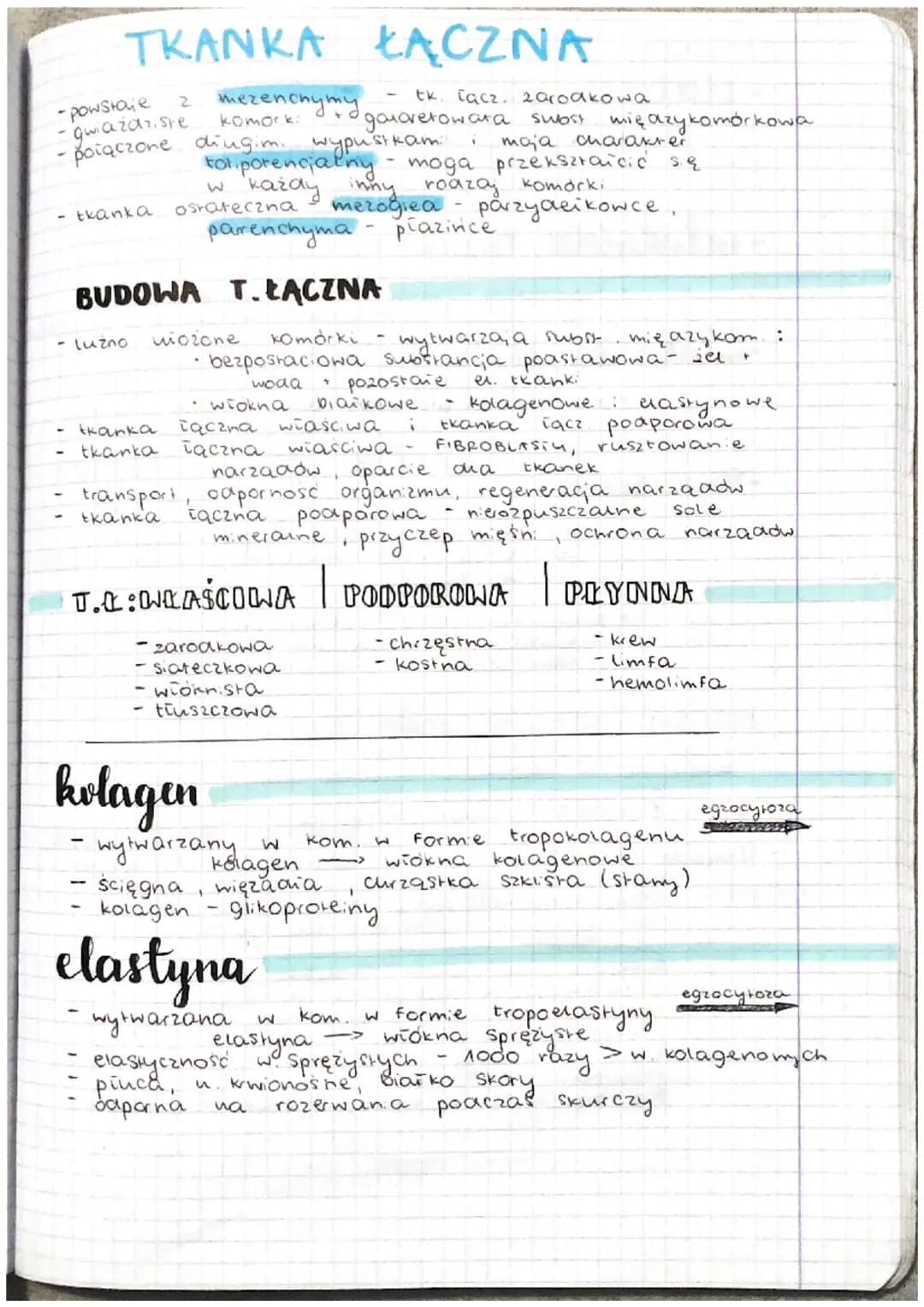 TKANKA ŁĄCZNA
-
-powstaje
-gwiaździste.
-poiaczone diugim. wypustki
tkanka
- lużno
2 теченстуту
komork:
BUDOWA T. ŁĄCZNA
tol potencialny - m