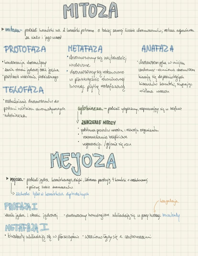<h2 id="mitozaimejoza">Mitoza i mejoza</h2>
<p>Mitoza i mejoza to dwa rodzaje podziałów komórkowych. Mitoza jest procesem podziału komórki, 