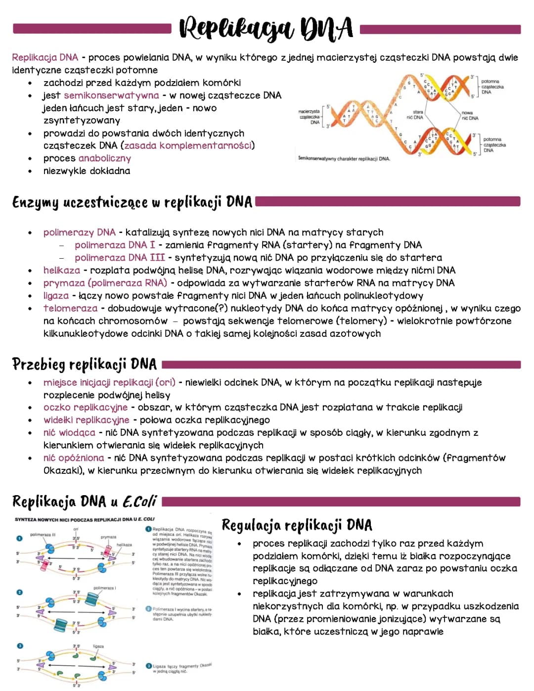 Replikacja DNA: Etapy, Przebieg i Znaczenie