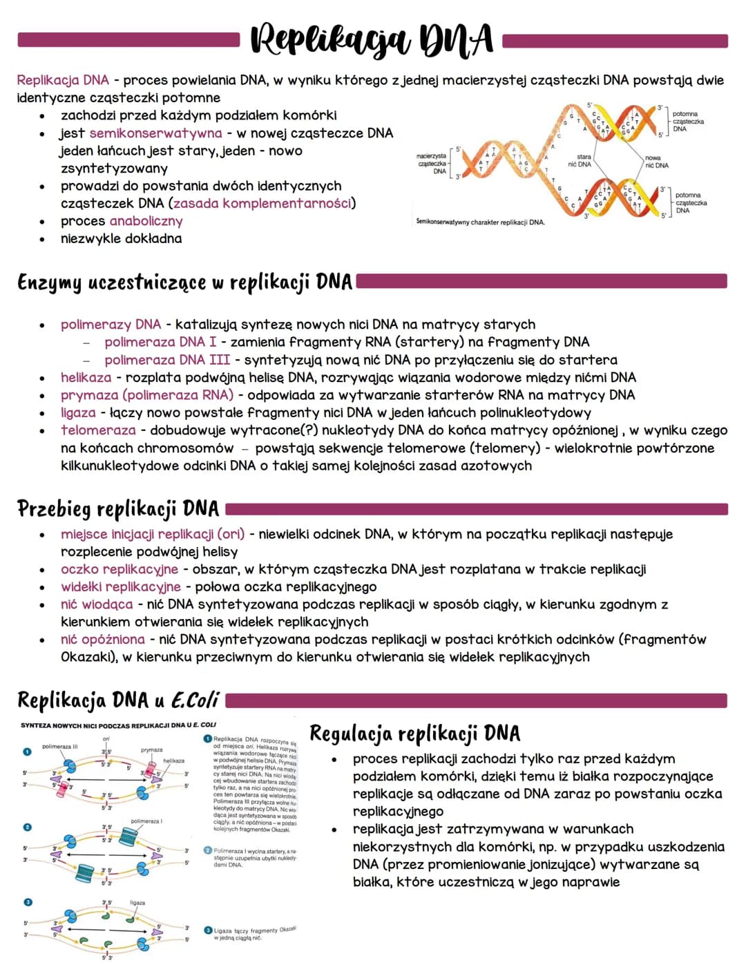 Replikacja DNA
Replikacja DNA - proces powielania DNA, w wyniku którego z jednej macierzystej cząsteczki DNA powstają dwie
identyczne cząste