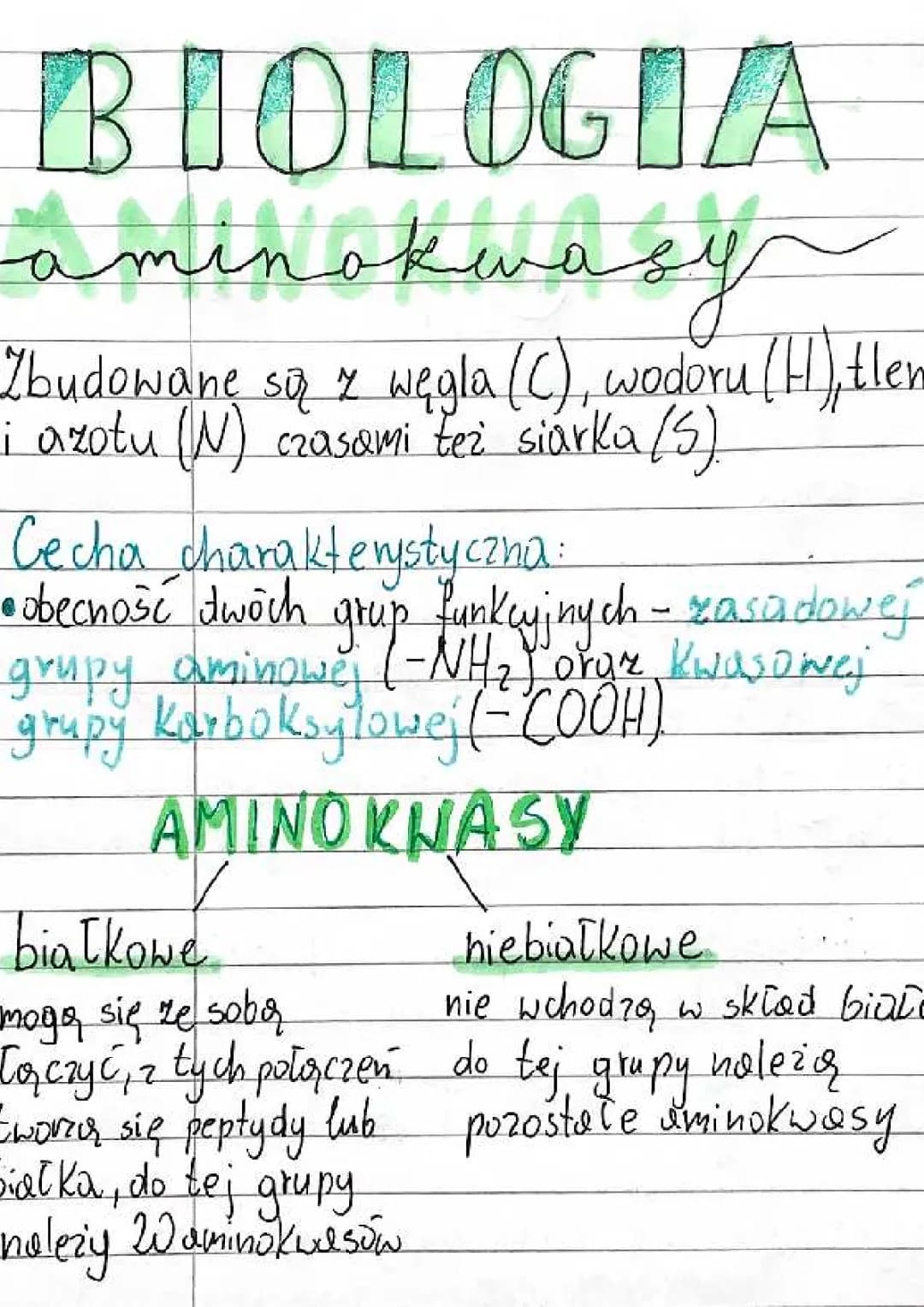 Aminokwasy i Białka - Wszystko co Musisz Wiedzieć! PDF Klasa 8
