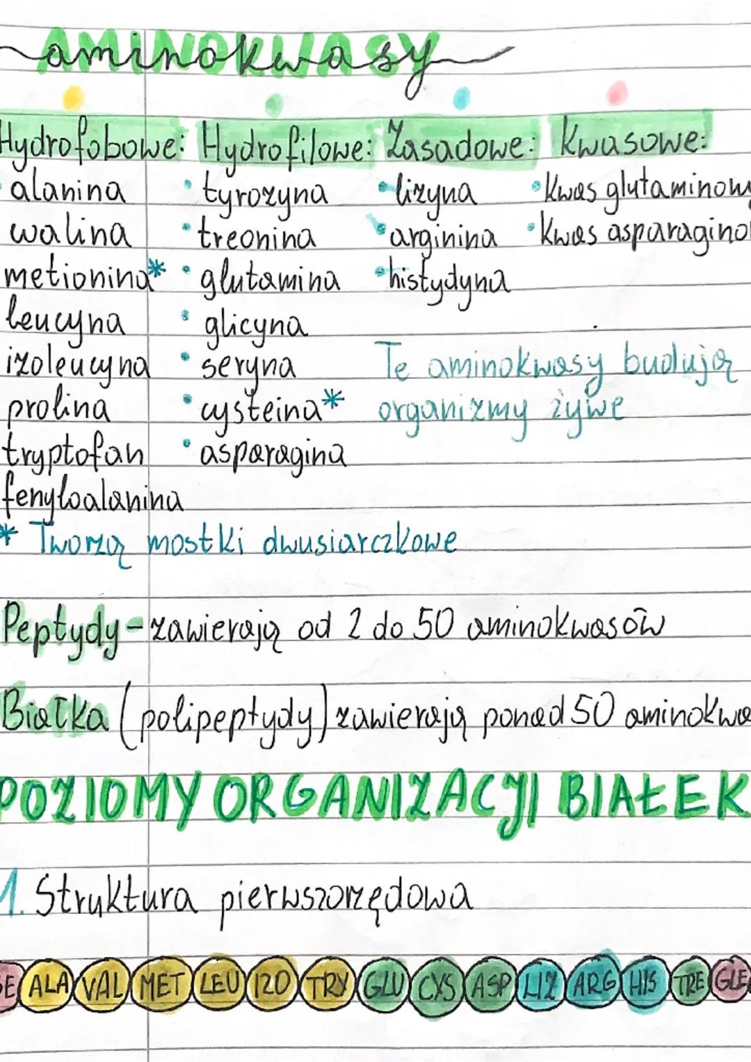 BIOLOGIA
aminokwasy
Zbudowane są z węgla (C), wodoru (H), tlem
i azotu (N) czasami też siarka (S)
Cecha charakterystyczna:
obecność dwóch
gr