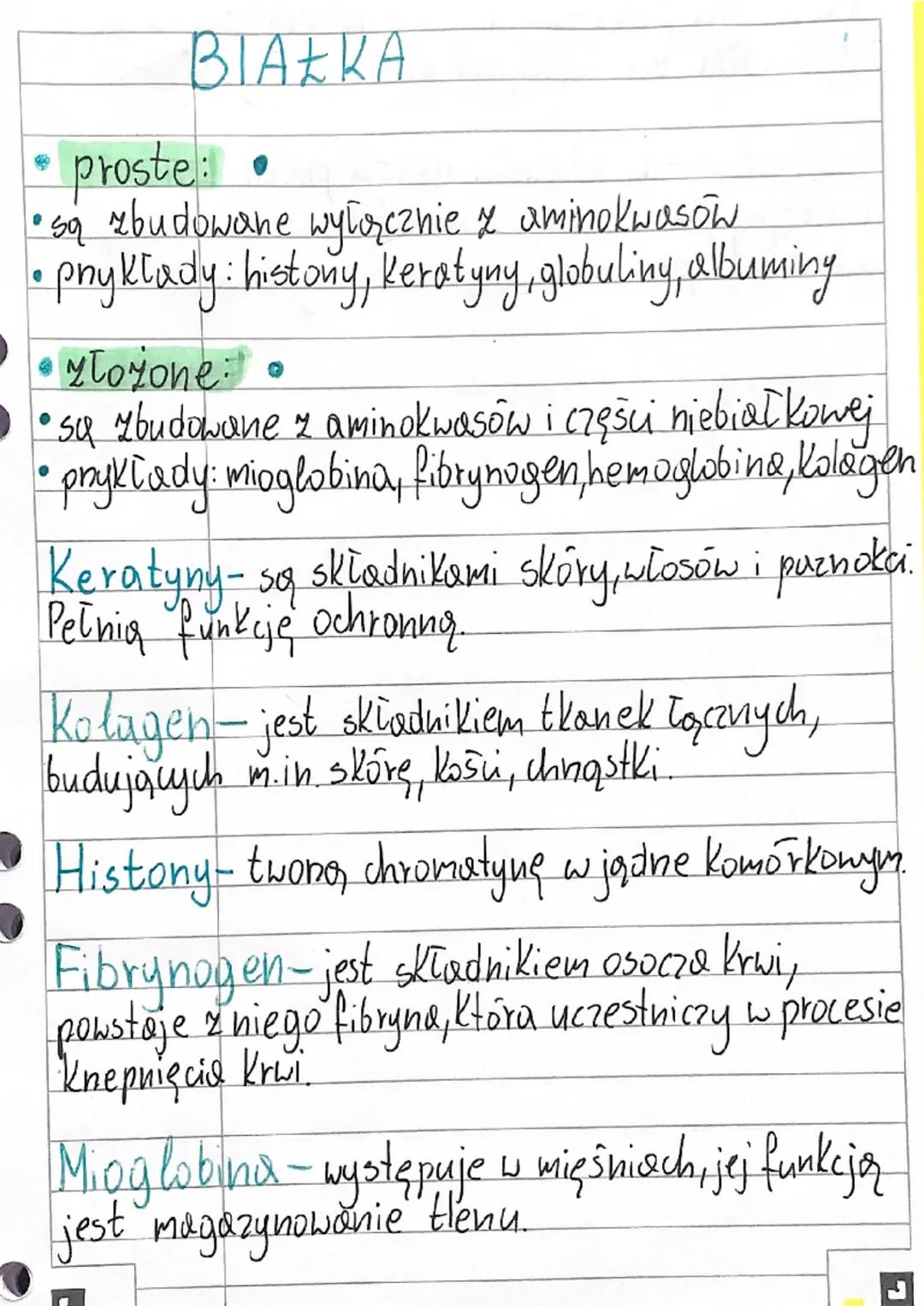 BIOLOGIA
aminokwasy
Zbudowane są z węgla (C), wodoru (H), tlem
i azotu (N) czasami też siarka (S)
Cecha charakterystyczna:
obecność dwóch
gr