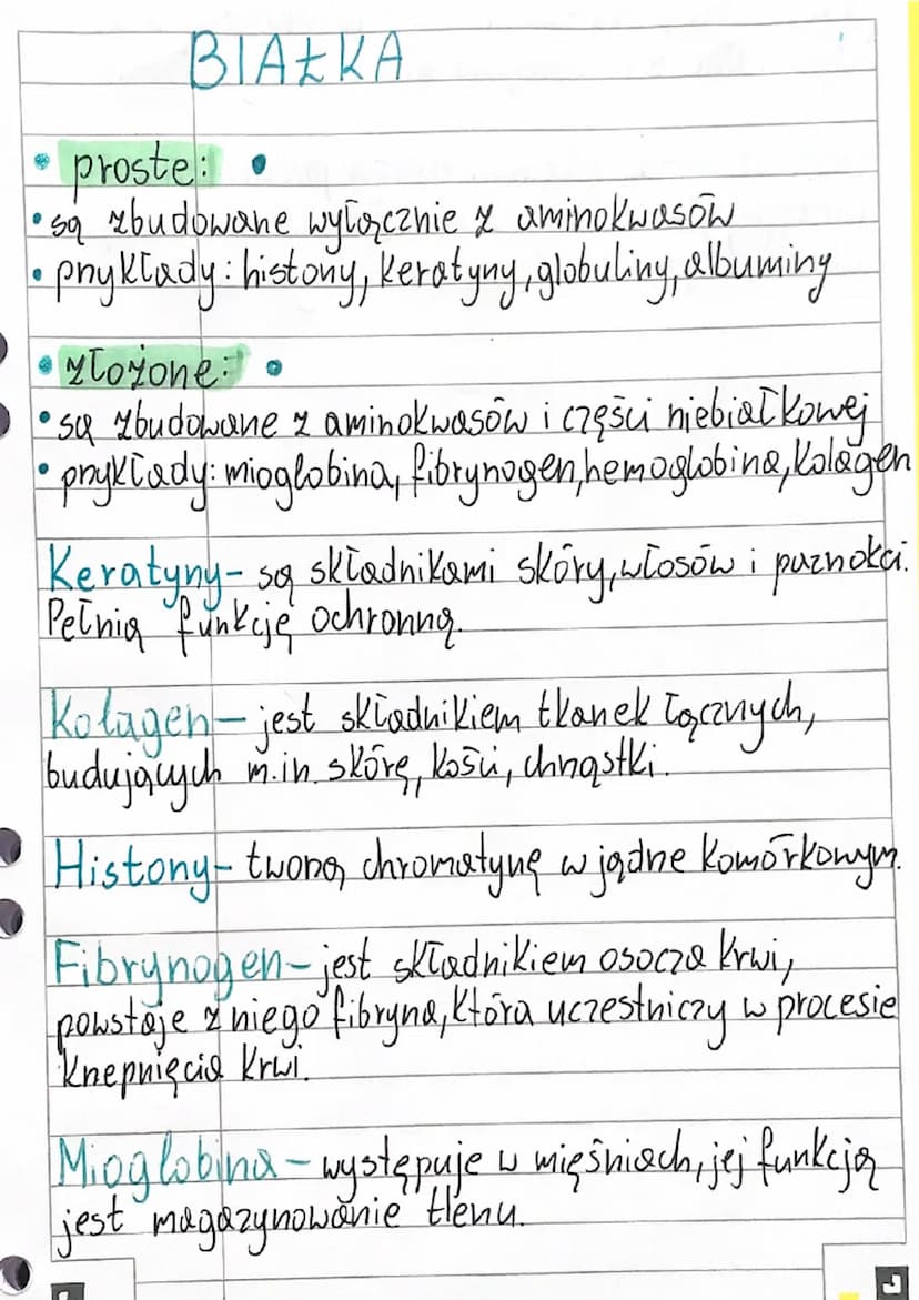BIOLOGIA
aminokwasy
Zbudowane są z węgla (C), wodoru (H), tlem
i azotu (N) czasami też siarka (S)
Cecha charakterystyczna:
obecność dwóch
gr