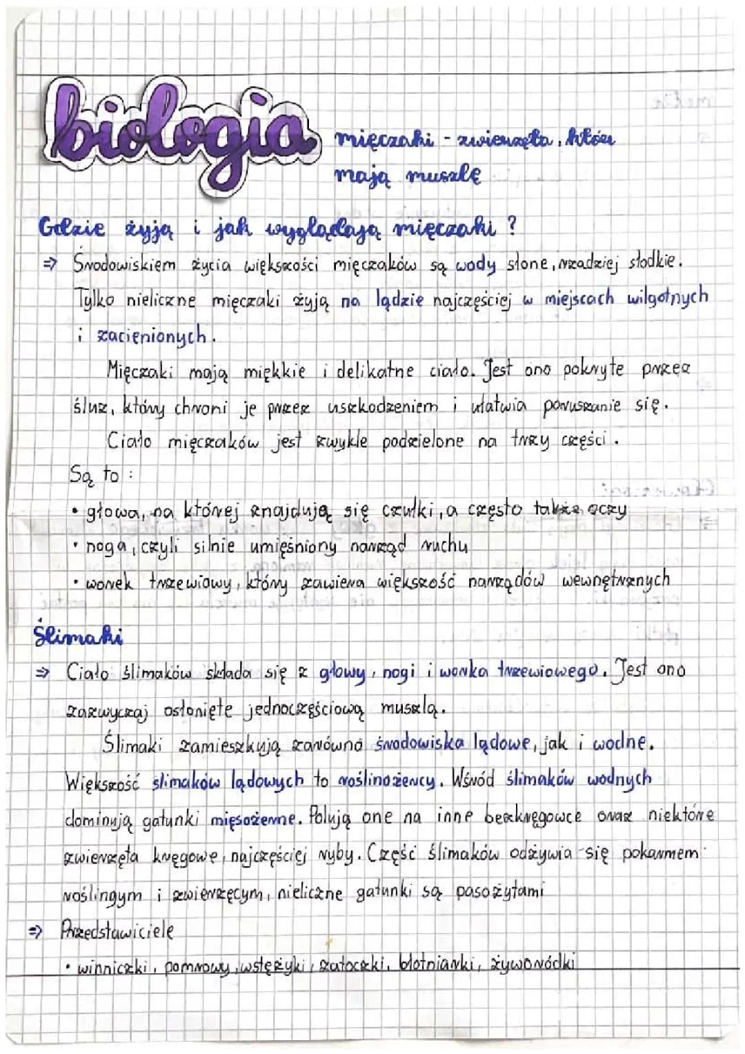 Mięczaki - zwierzęta, które mają muszlę