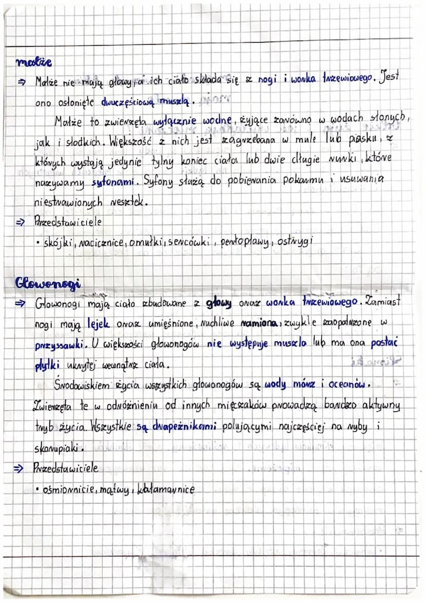 biologia
Gelzie żyją i jak wyglądają mięczaki?
=> ŚNodowiskiem życia większości mięczaków są wody słone, mzadziej słodkie.
Tylko nieliczne m