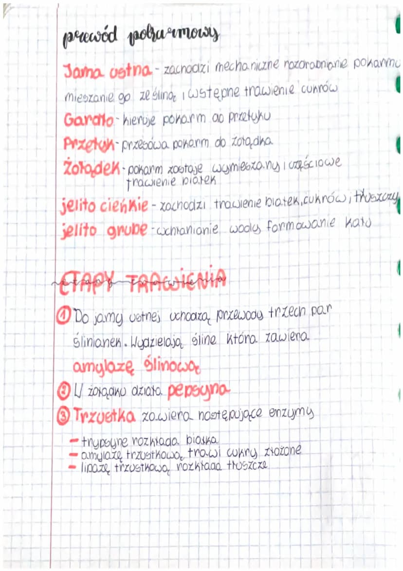 dziasto
mias
zga
E
biologia =
4.Budowa i rola uktadu pokarmowego
=
ROLA UKLADU POKARMOWEGO
-trawienie
defancja
•cchianianie
rozanabnianie i 
