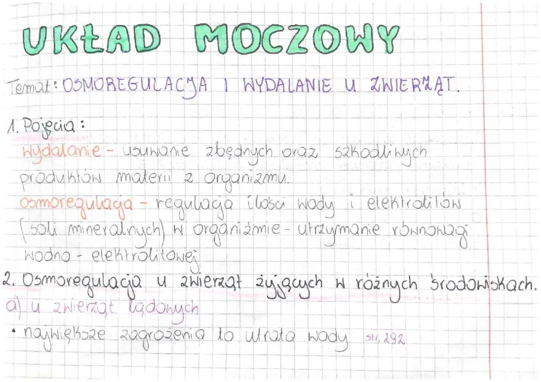 Osmoregulacja i wydalanie u zwierząt - Kluczowe informacje