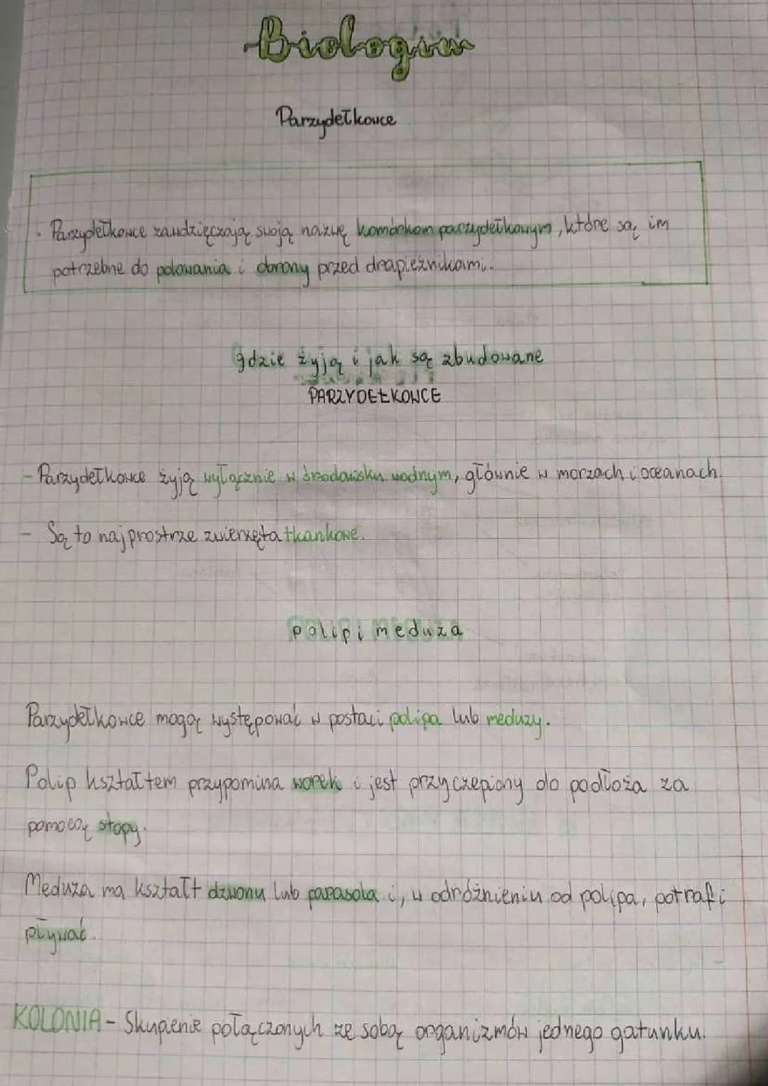 PARZYDEŁKOWCE 