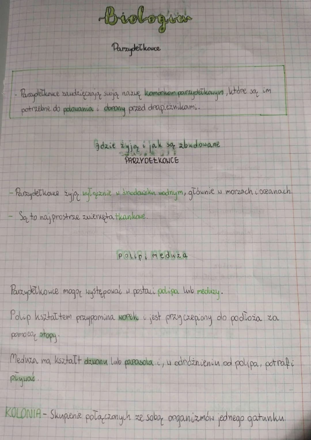 •
Parzydełkonce zawdzięczają swoją nazwę komórkom parzydełkowym, które są, im
potrzebne do polowania i dorony przed drapieżnikami.
biologies