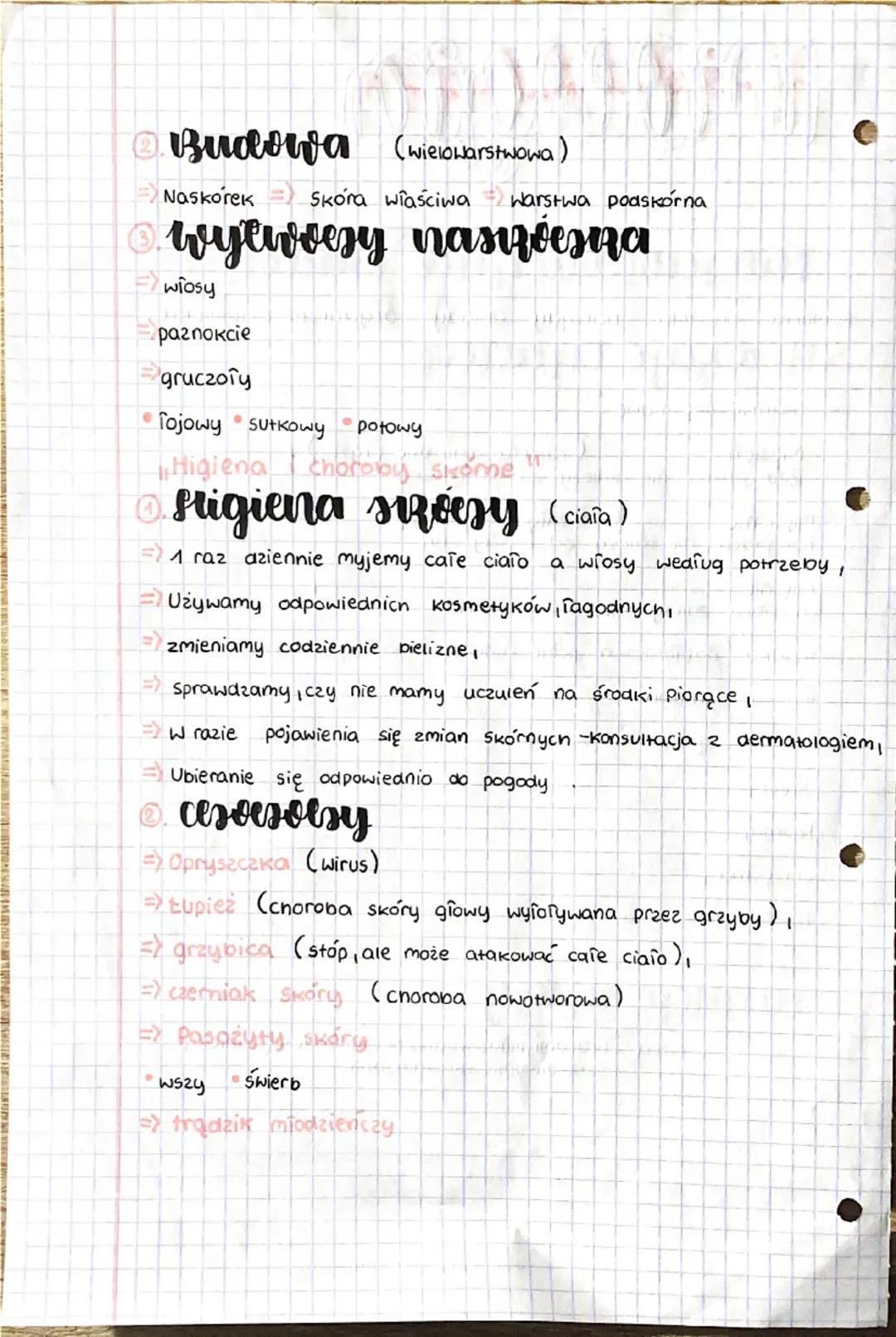 Diologia
Organizm
Czlowieka jakso
funkcjonalna calosc
Ⓒ filesaescericyna budowa
Komórki tkanki
Ukiaay
narządy Ukiady organizm człowieka
Rodz