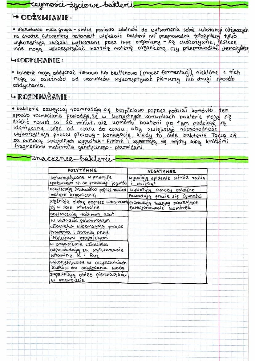 BAKTERIE
ręska
M
●
angina,
• zapalenie płuc,
●
gruźlica,
substancje
zapasowe
trąd,
• dur brzuszny,
●
budowa bakterii
↳ bakterie to najmniejs